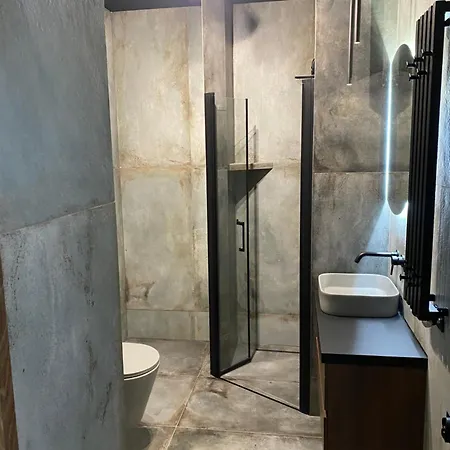 Business And Friendly Self Check-in Διαμέρισμα Rzeszów